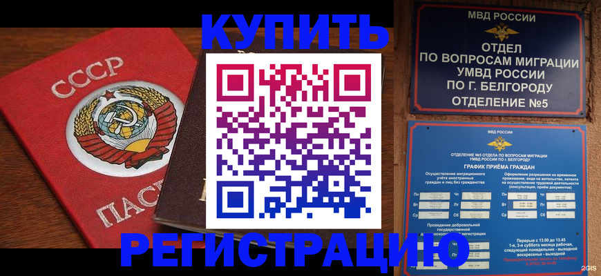 прописка для работы в Химках